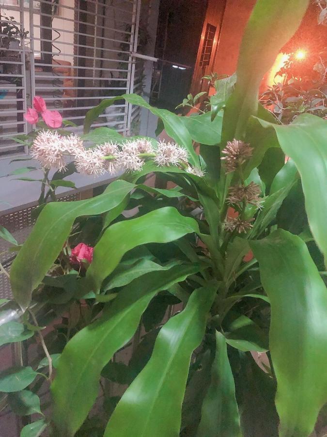 Li Homestay 134 Tran Binh, My Dinh, Nam Tu Liem, Ha Noi Hanoi Exterior photo